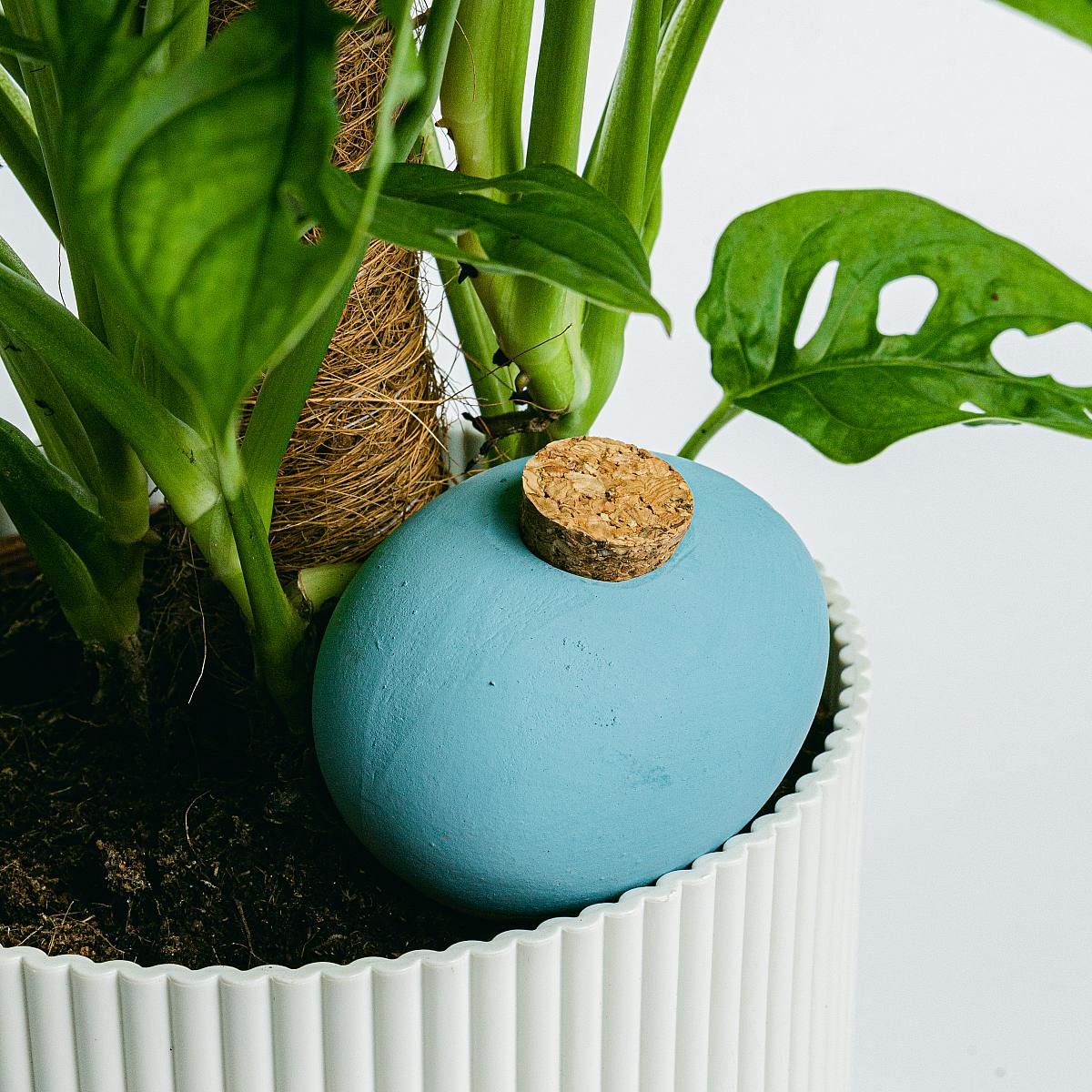 Samozavlažovací systém Design Terracotta picture 1