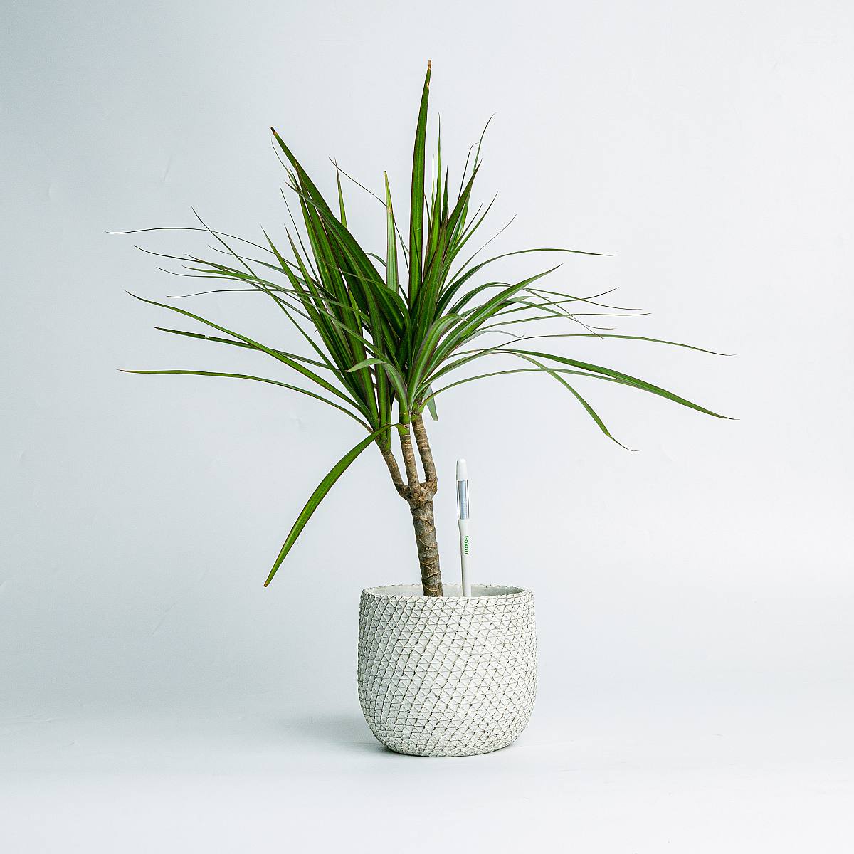 Tessa watermeter M wit picture 2