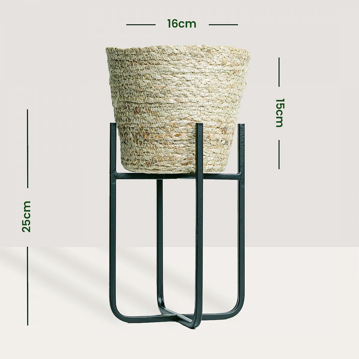 Sada Nauru M se stojanem picture 4