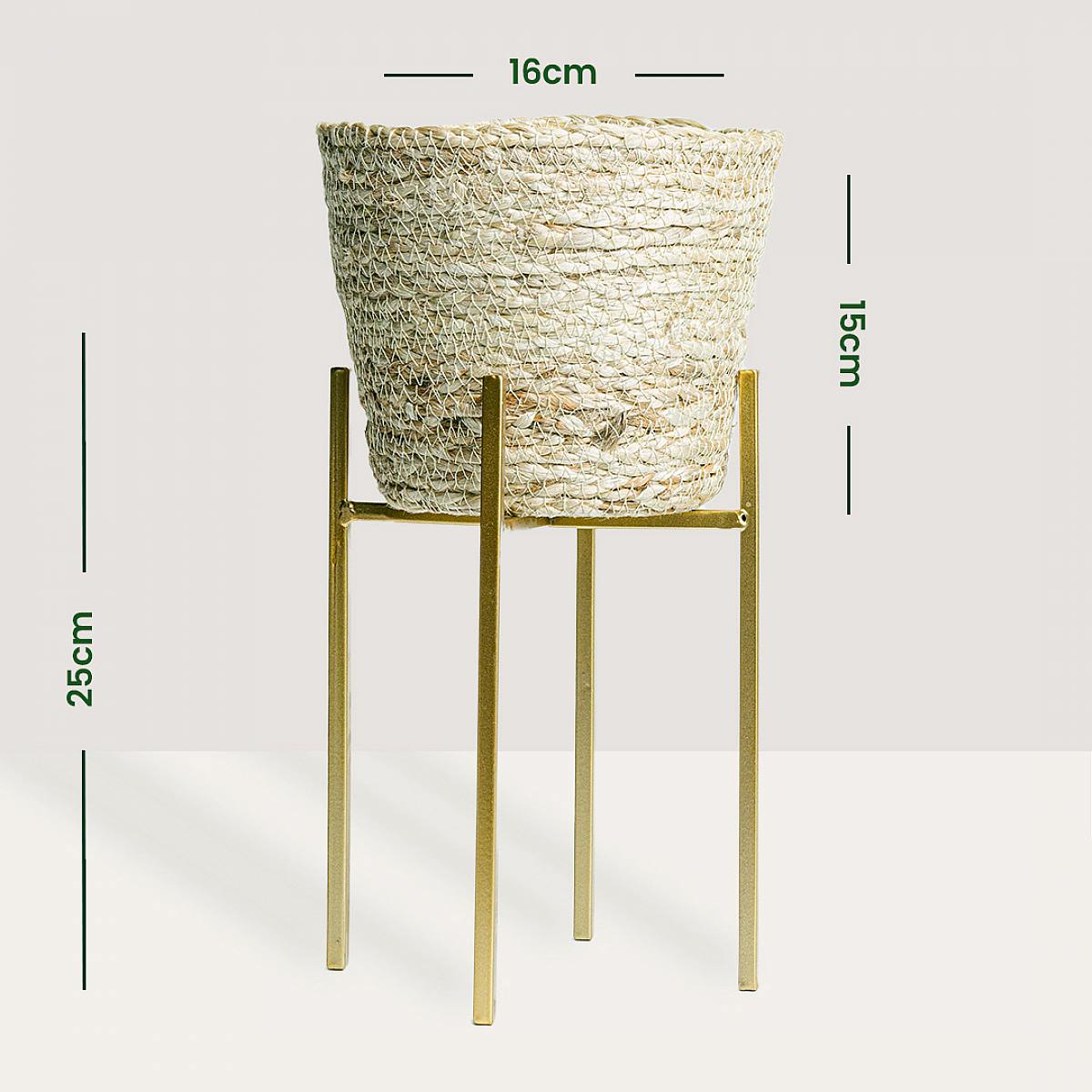 Set Nauru M avec support picture 4