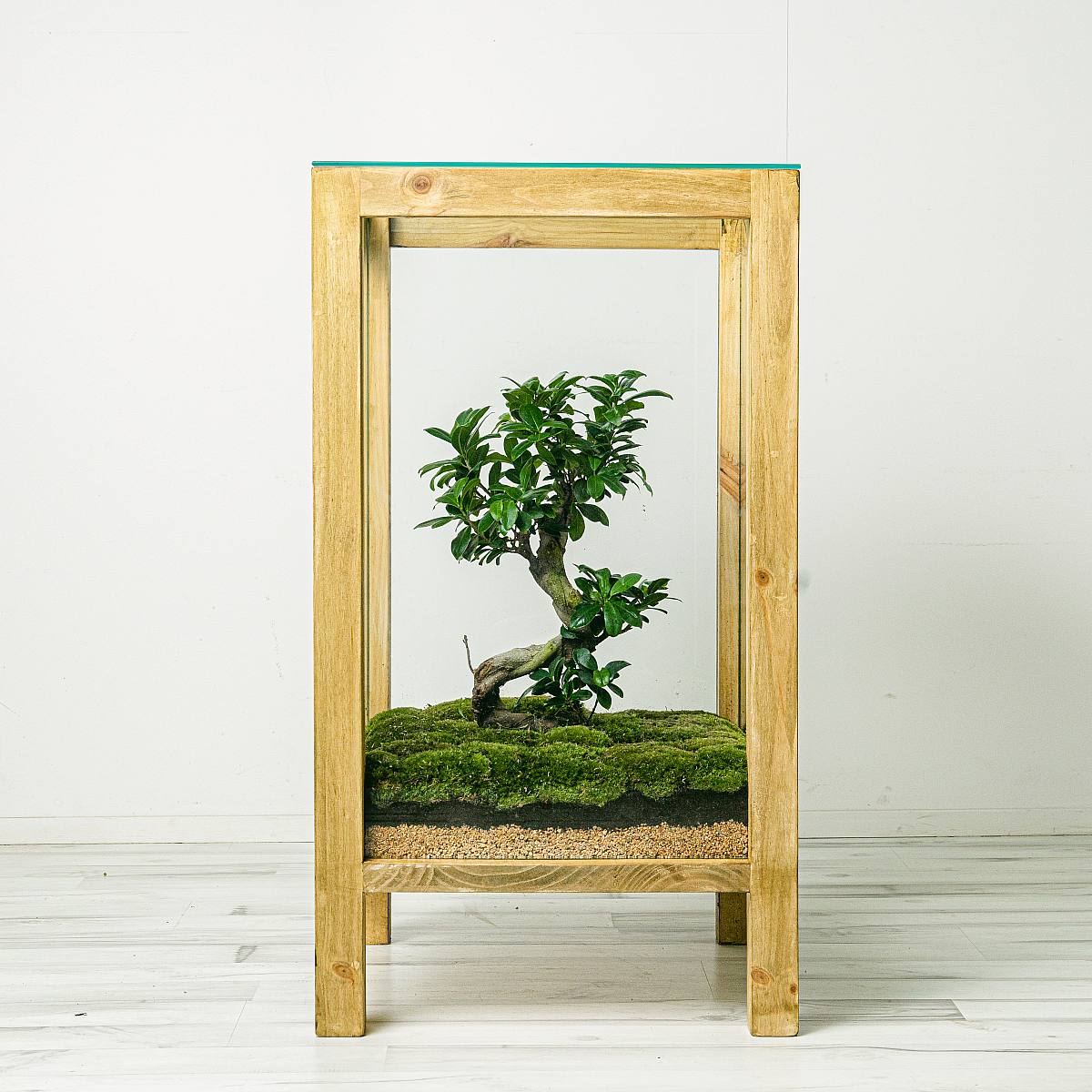 Twisted Forest picture 1