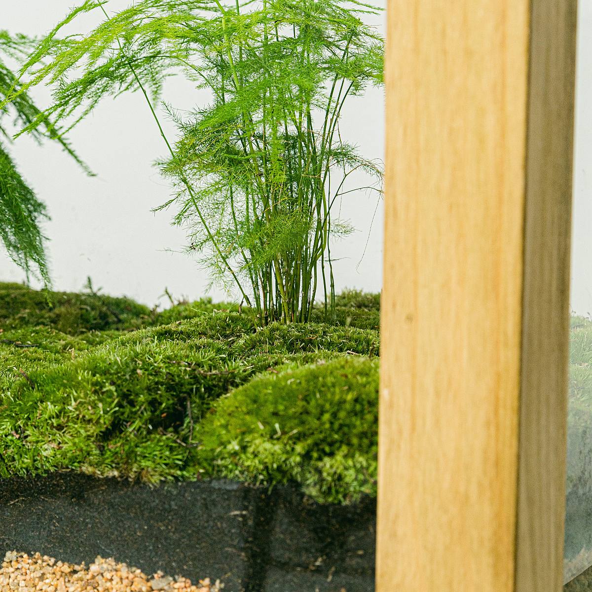 Černá džungle picture 2