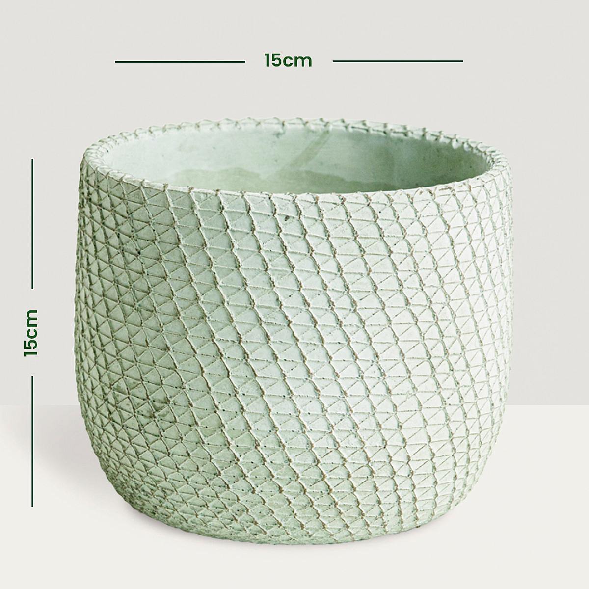 Malta urtepotte - M/15cm picture 4