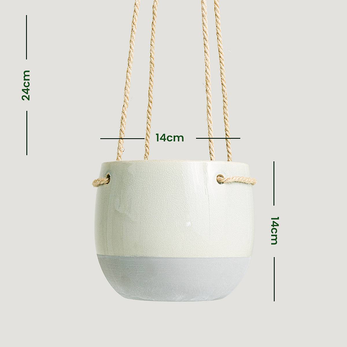 Dundee Bloembak - S/14cm picture 4