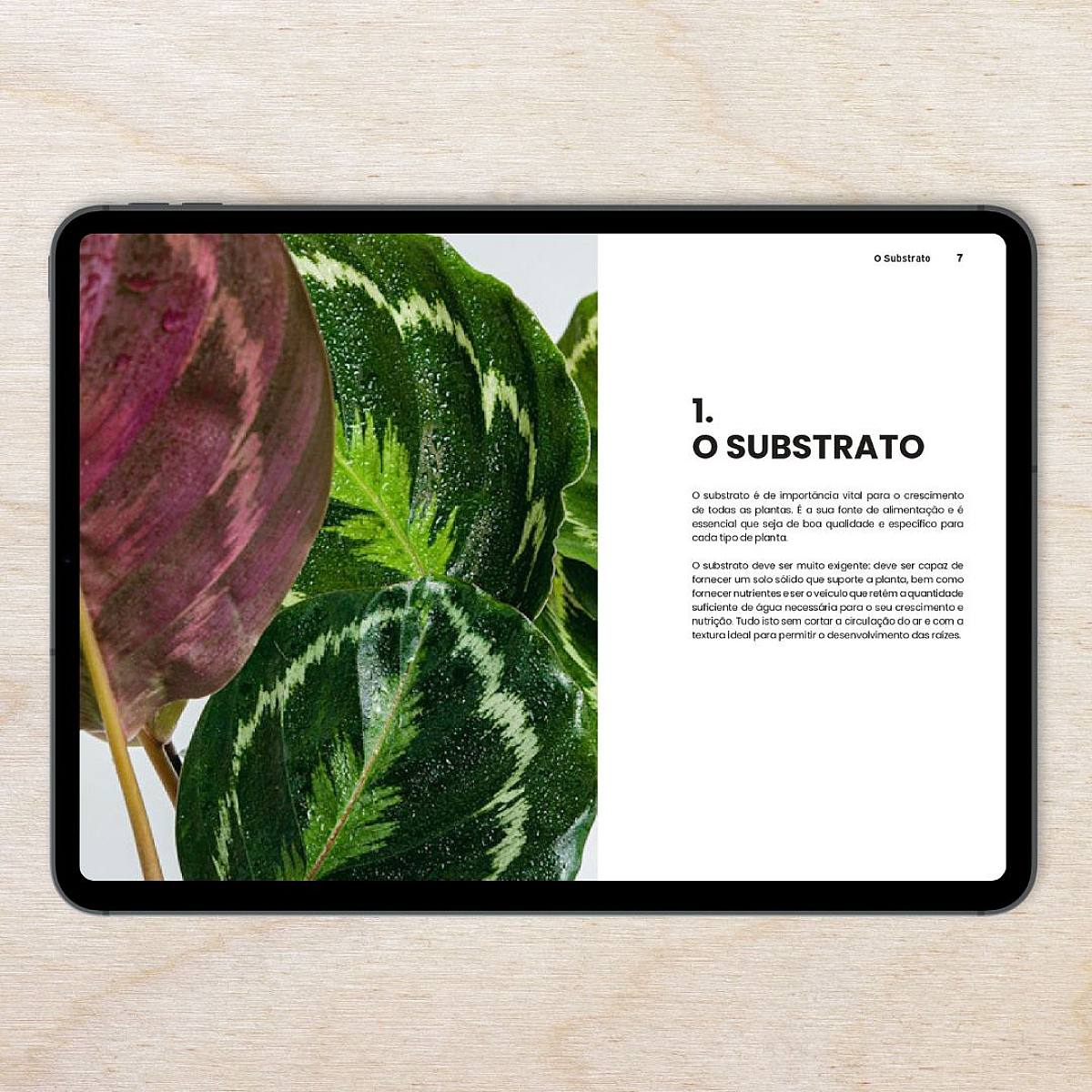 E-Book - Vom Pflanzenkiller zum Experten picture 1