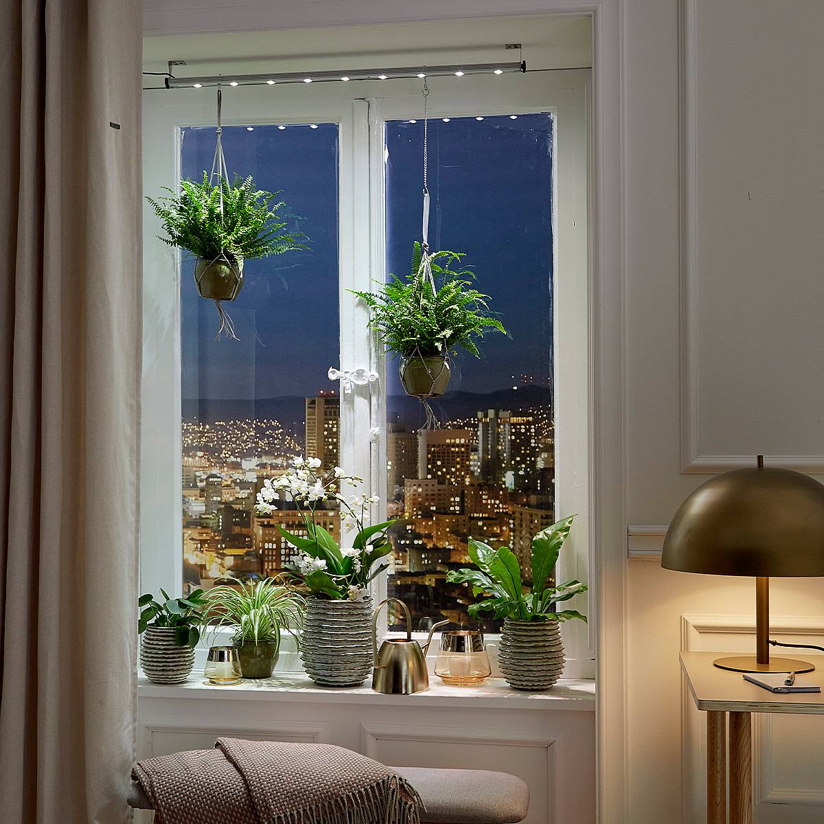 FloraLight LED picture 0