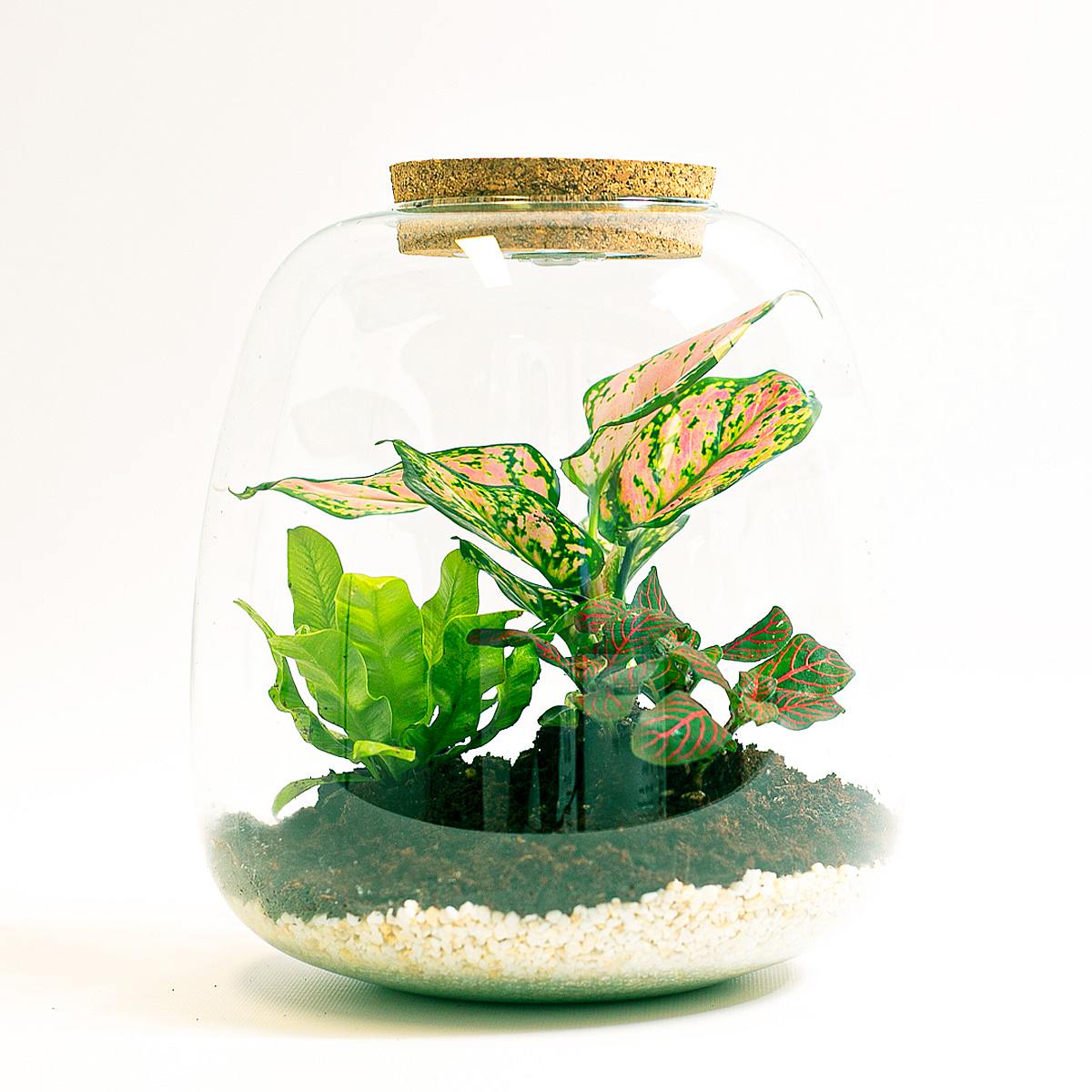 Cupid's Oasis - Valentine's day picture 1