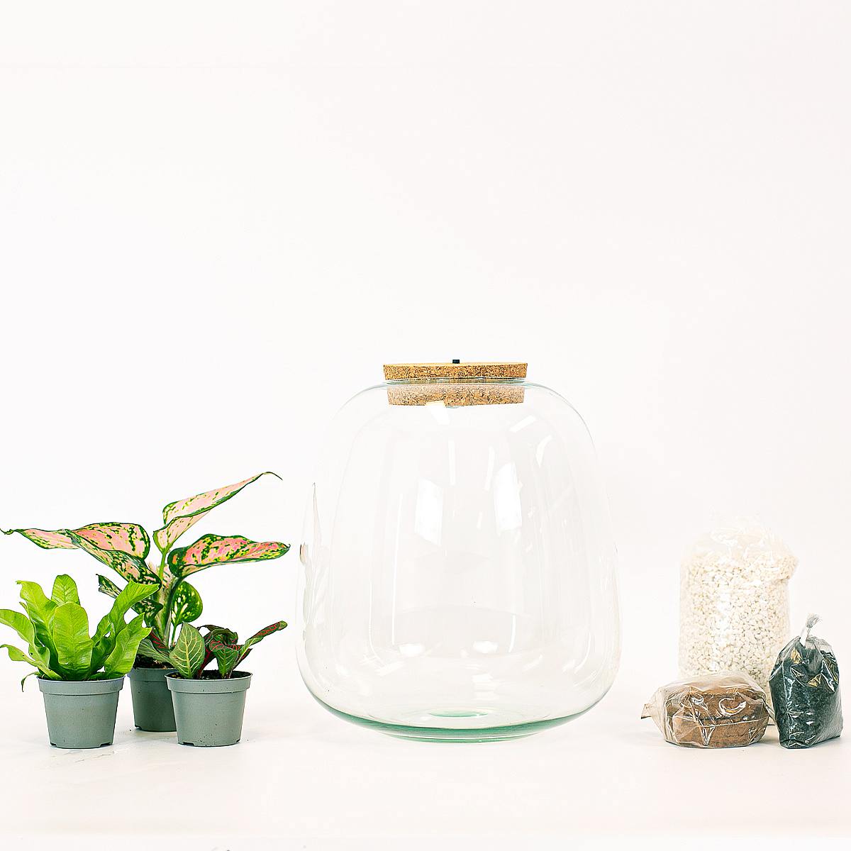 Cupid's Oasis - Valentine's day picture 3