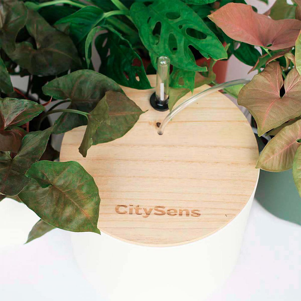 Zilveren Druppel Wifi picture 1