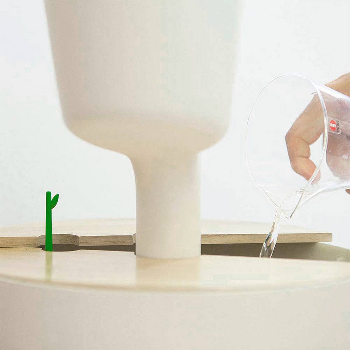 Garden Wonder S picture 1