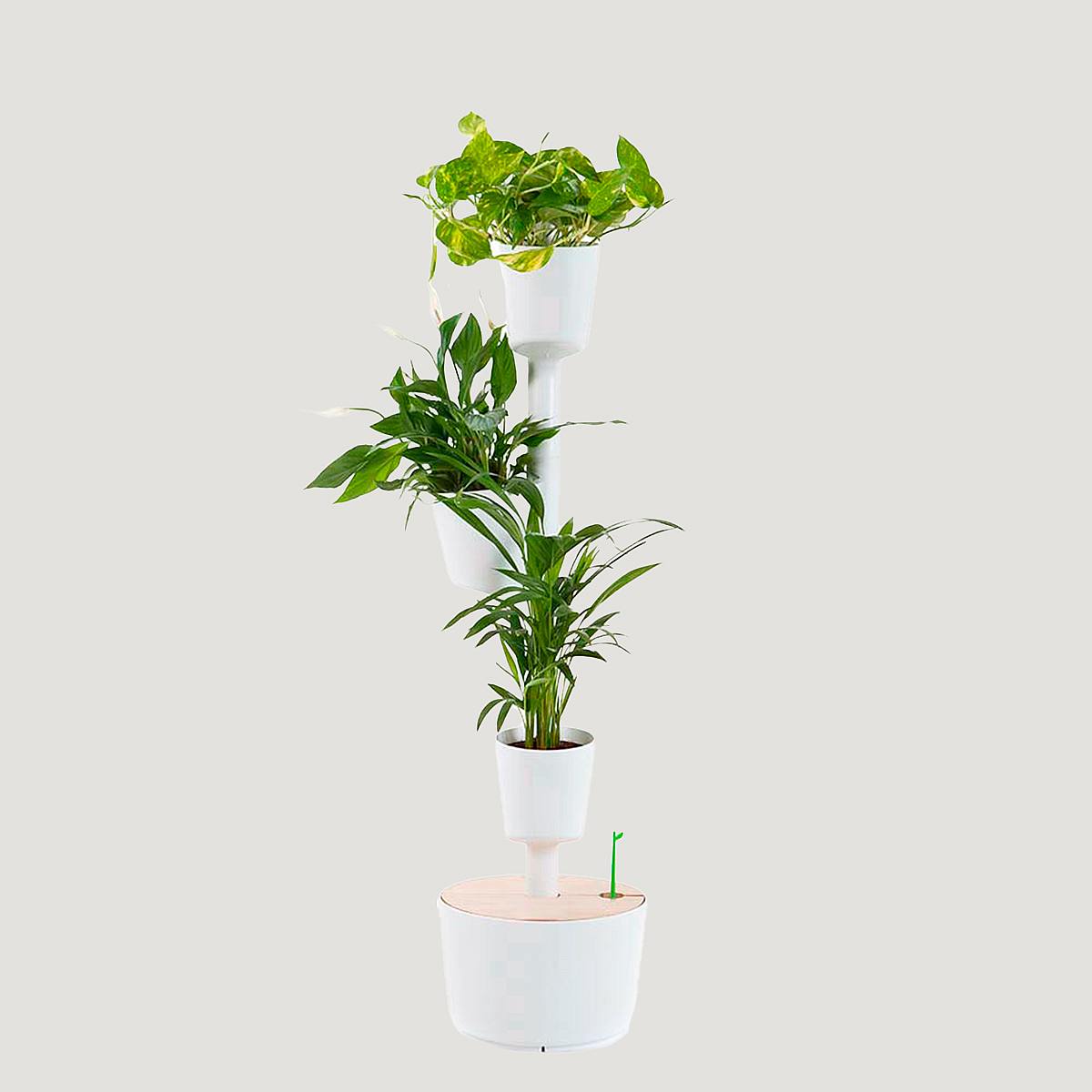 Smart Garden S picture 1