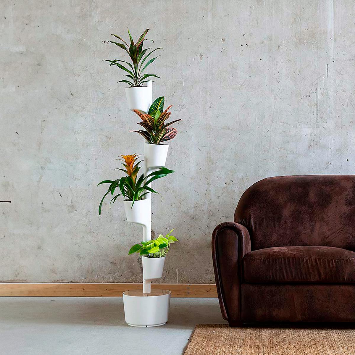 Smart Garden M picture 1