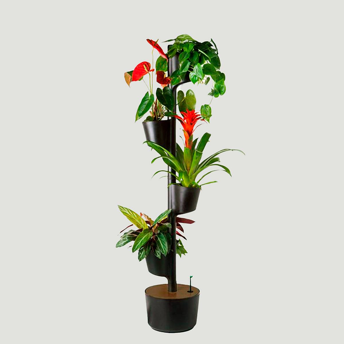 Půlnoční zahrada M picture 1