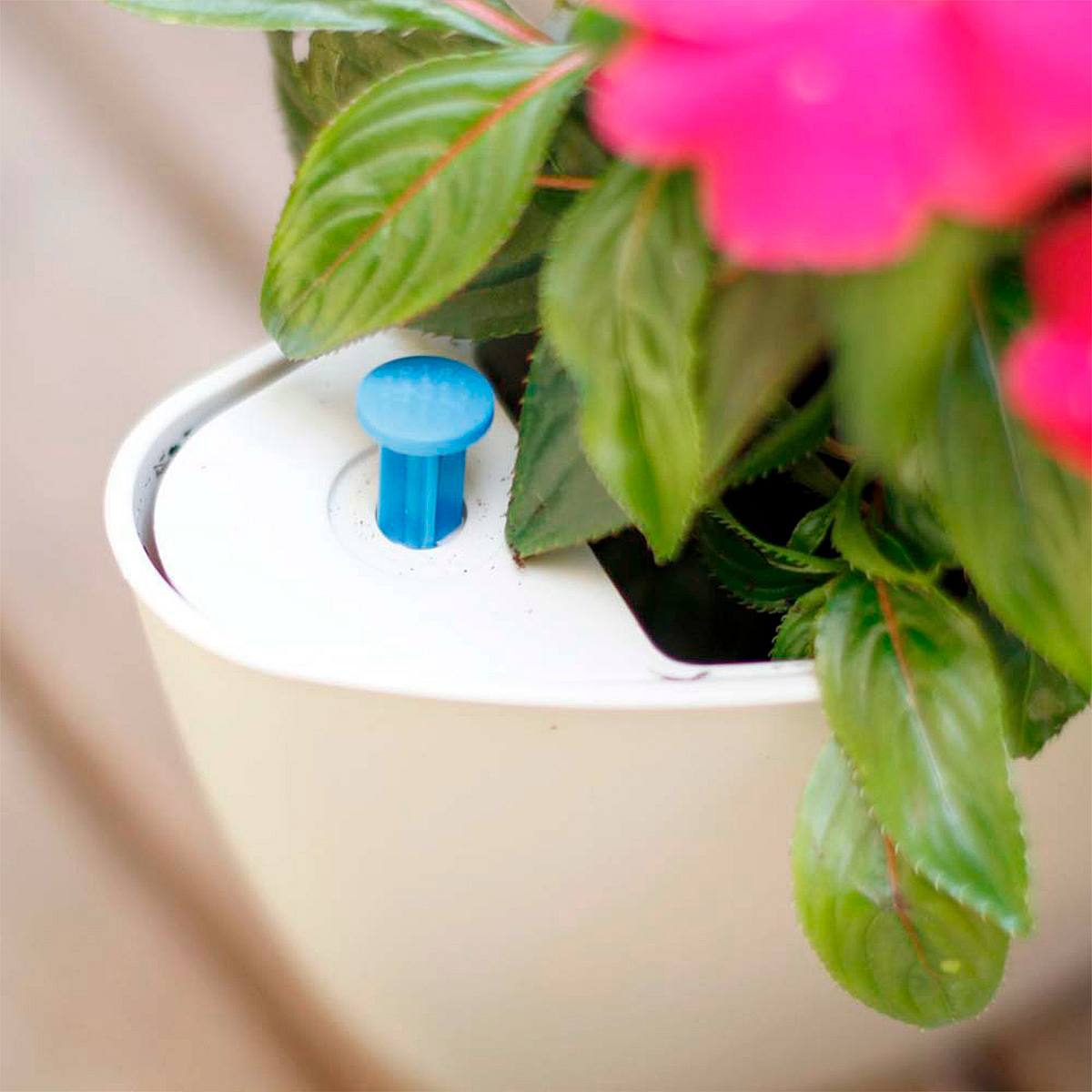 Trio WhiteNatura picture 1