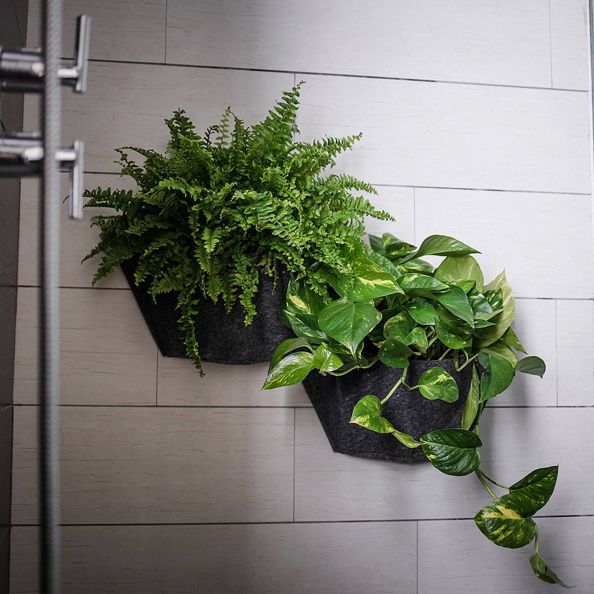 Trio de manches Oasis picture 2