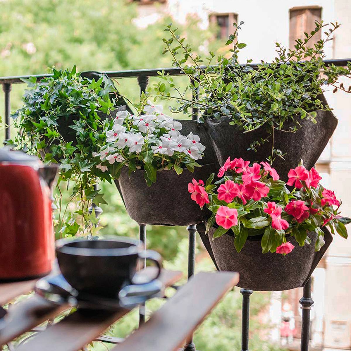 Trio de manches Oasis picture 3