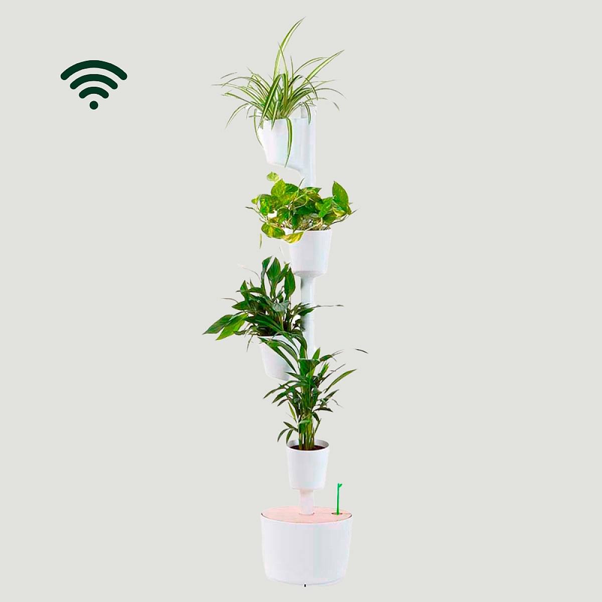 Green WiFi Tower M picture 4
