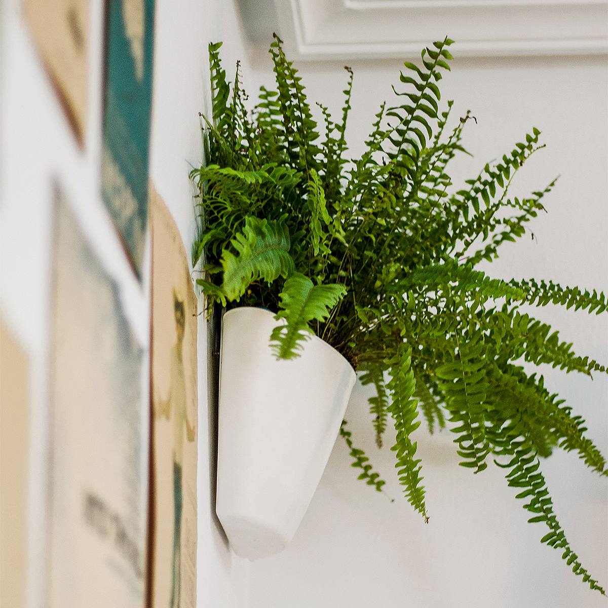 Trio WhiteNatura picture 2