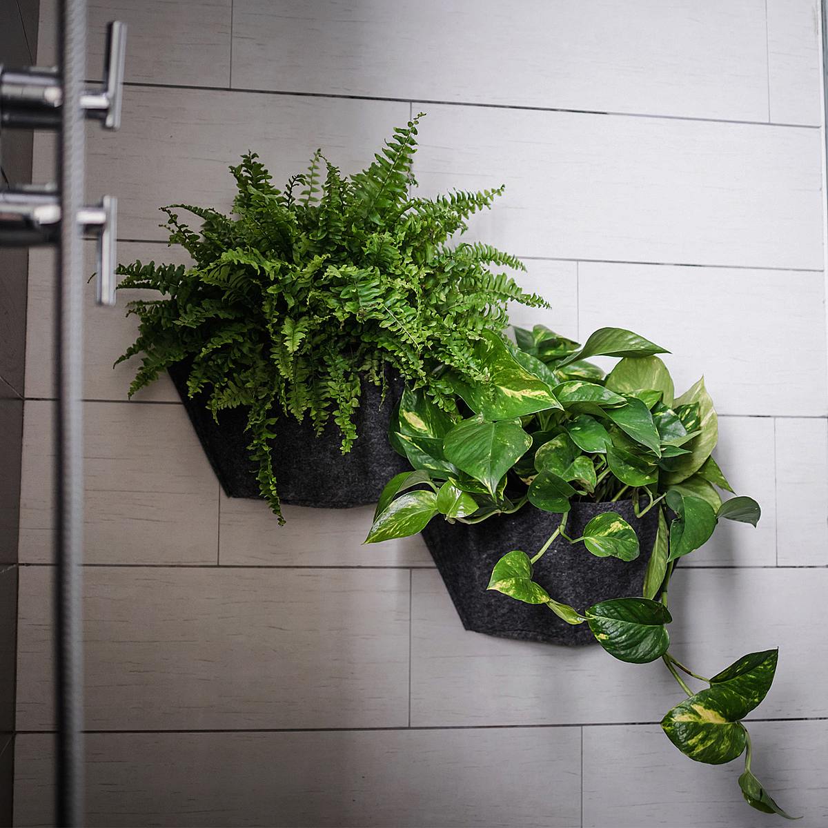 Chytré zahradní trio picture 2