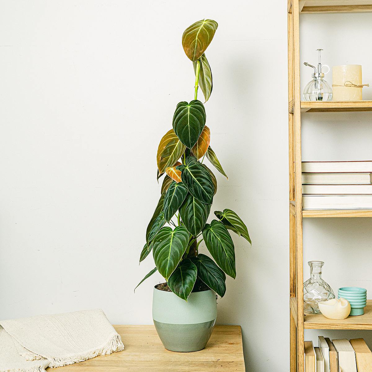 Sázecí květináč Montreal - M/17cm picture 2