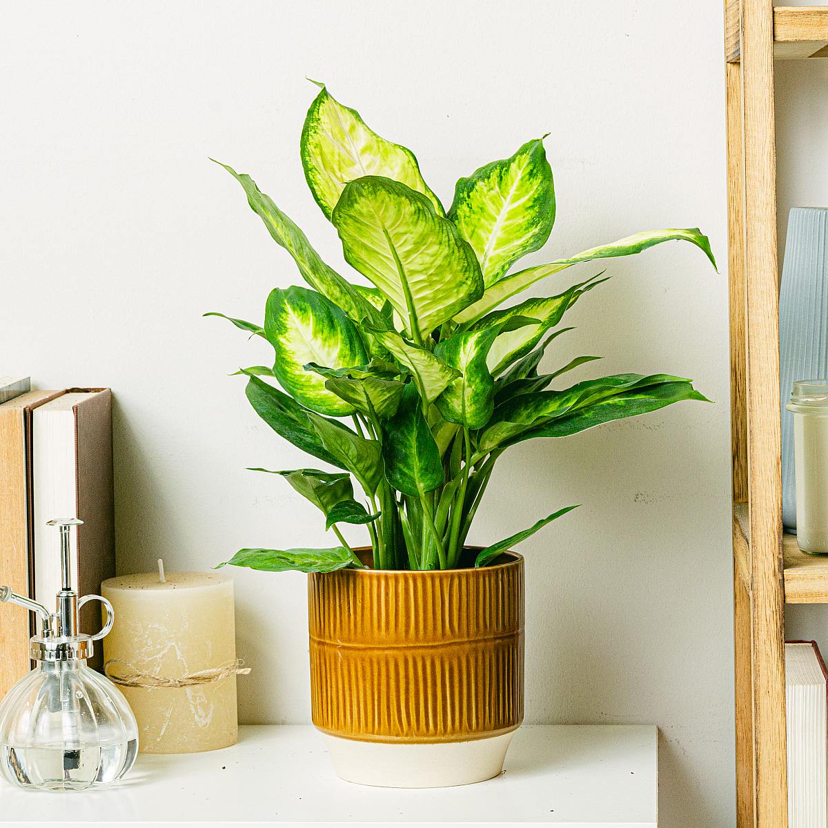 Květináč Salvador - S/12cm picture 2