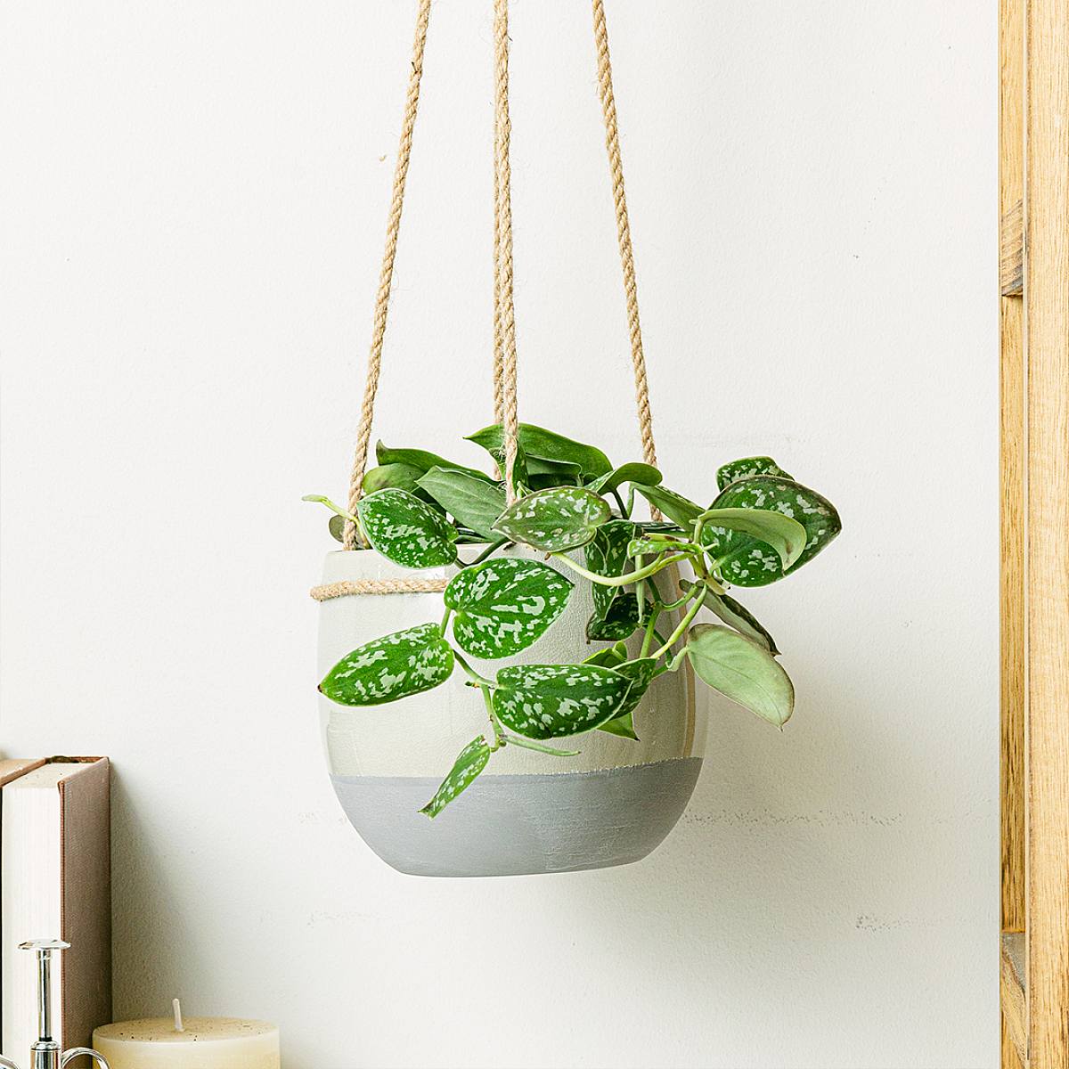 Dundee Bloembak - S/14cm picture 2