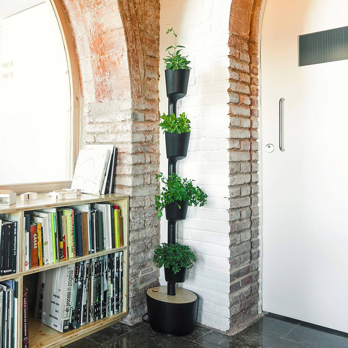 Půlnoční zahrada M picture 2