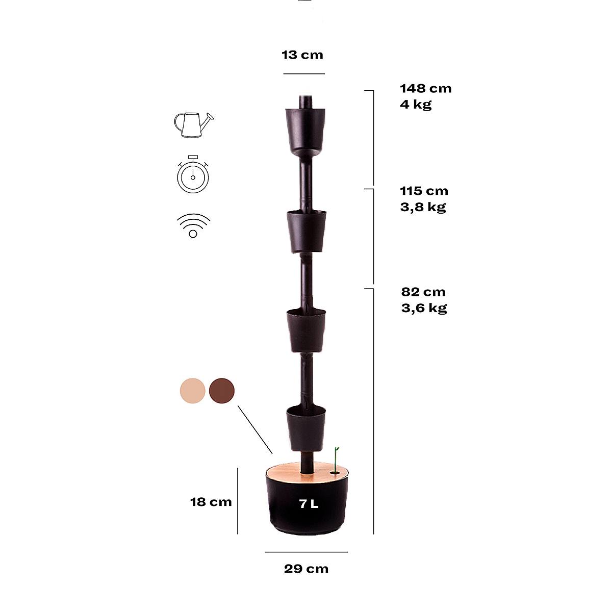 Půlnoční zahrada M picture 3