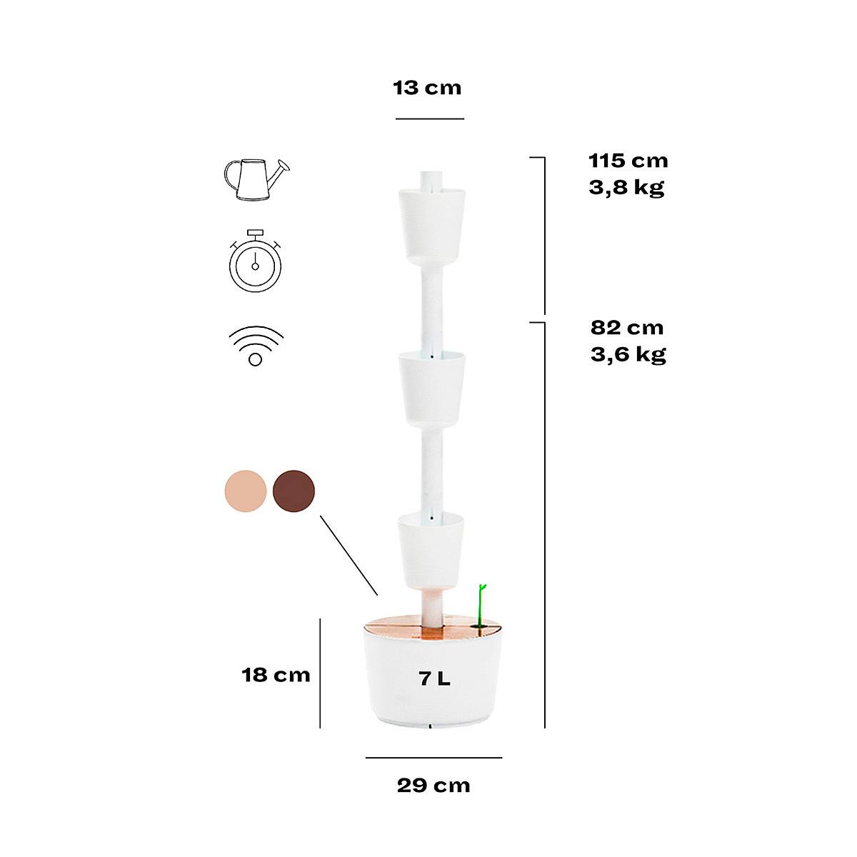 Garden Wonder S picture 3