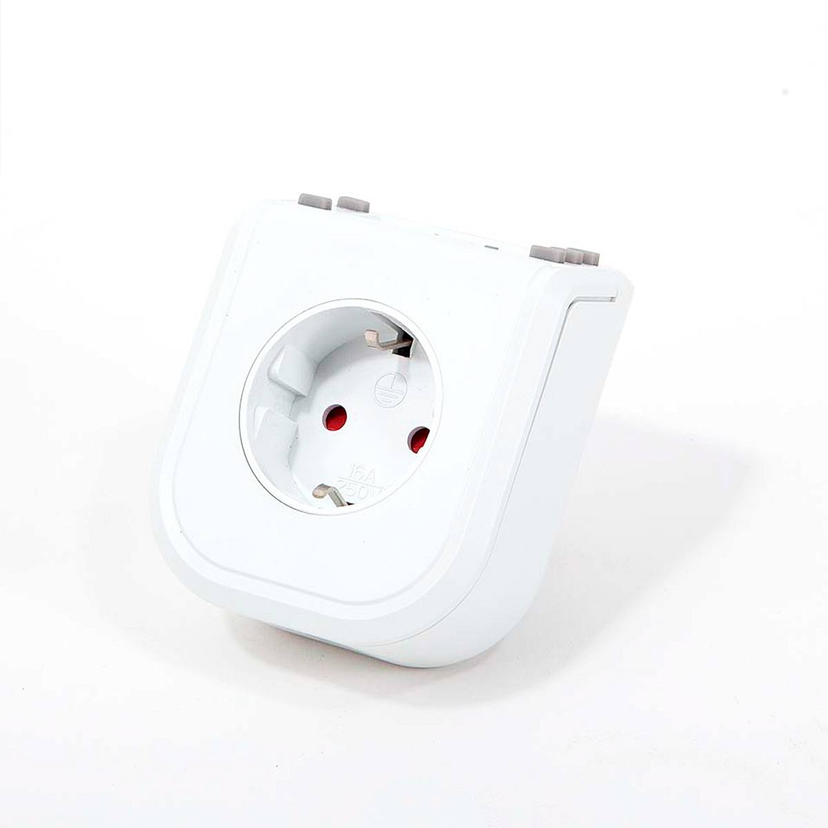 Půlnoční zahrada M picture 5