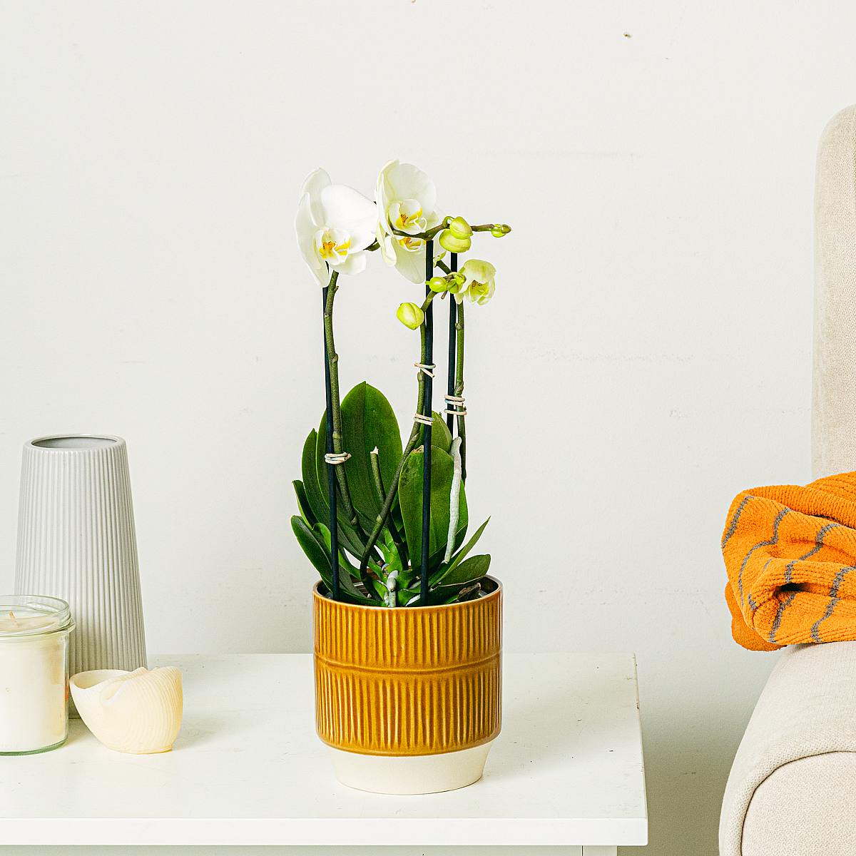 Květináč Salvador - S/12cm picture 3