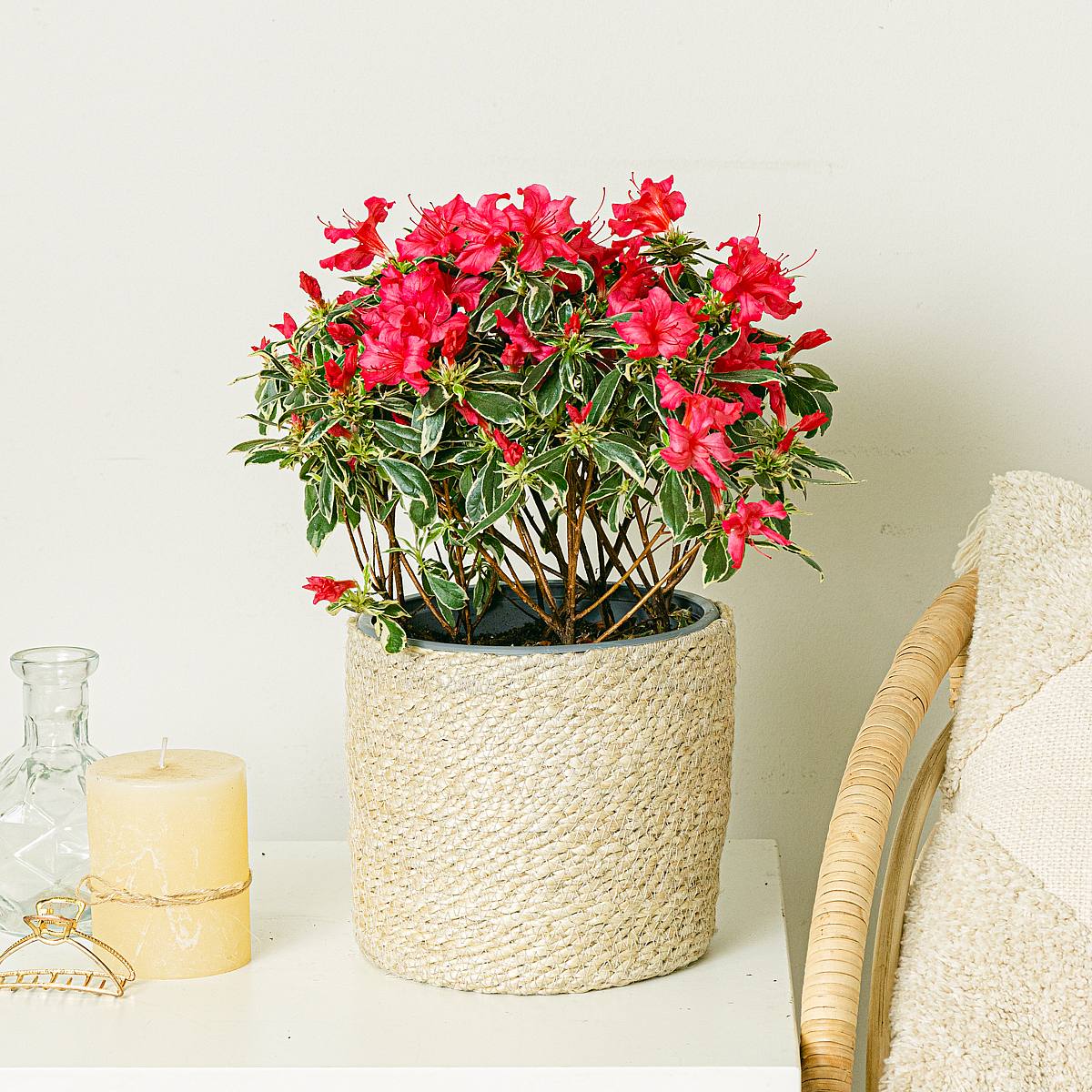 Atlantic Basket - L/18cm picture 2