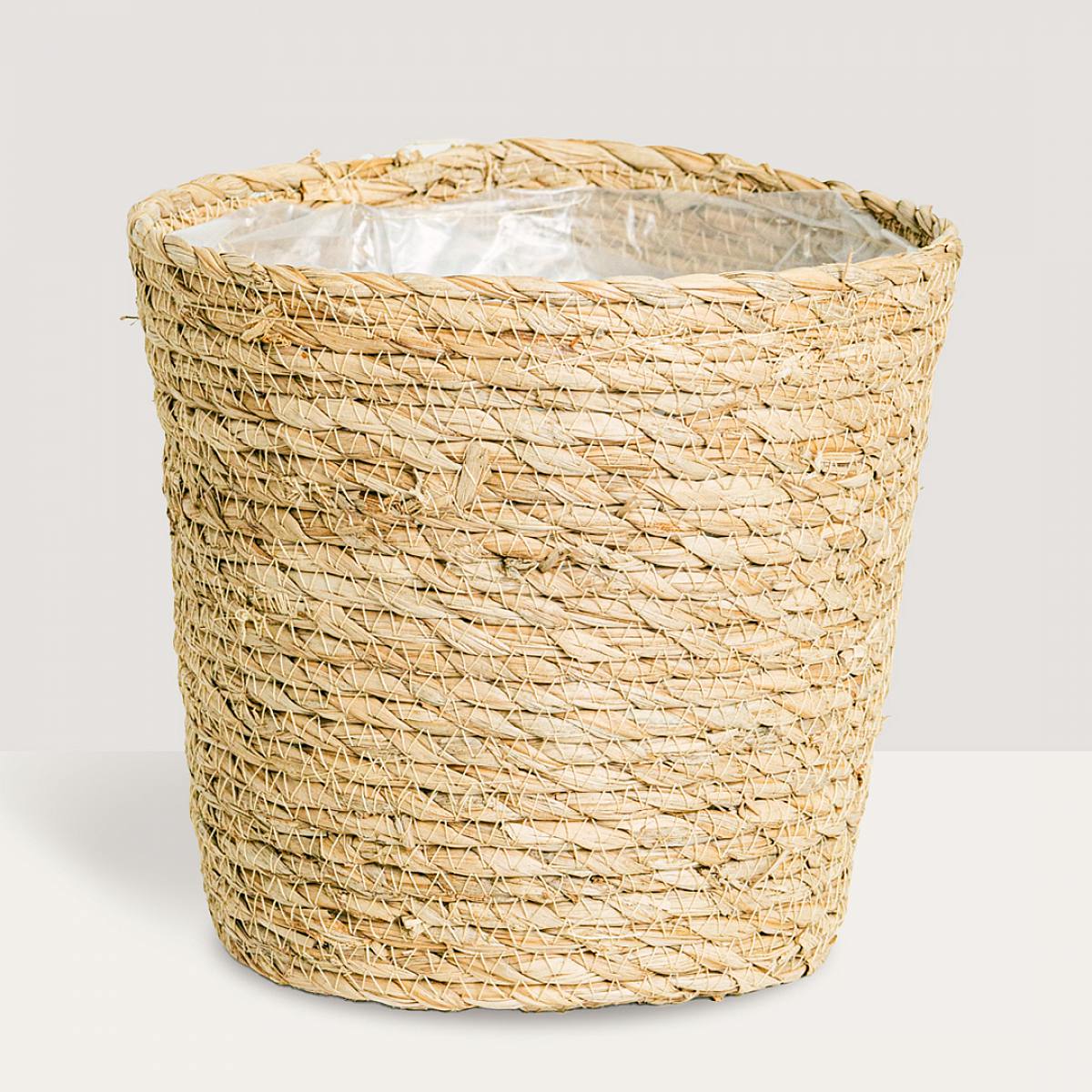 Canestro Mand Osaka picture 0