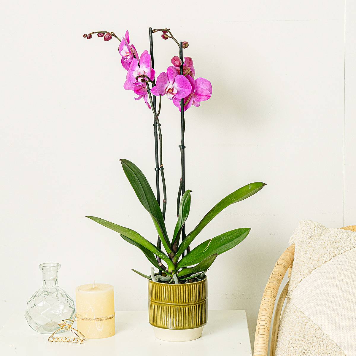 Sázecí květináč Duran - S/12cm picture 2