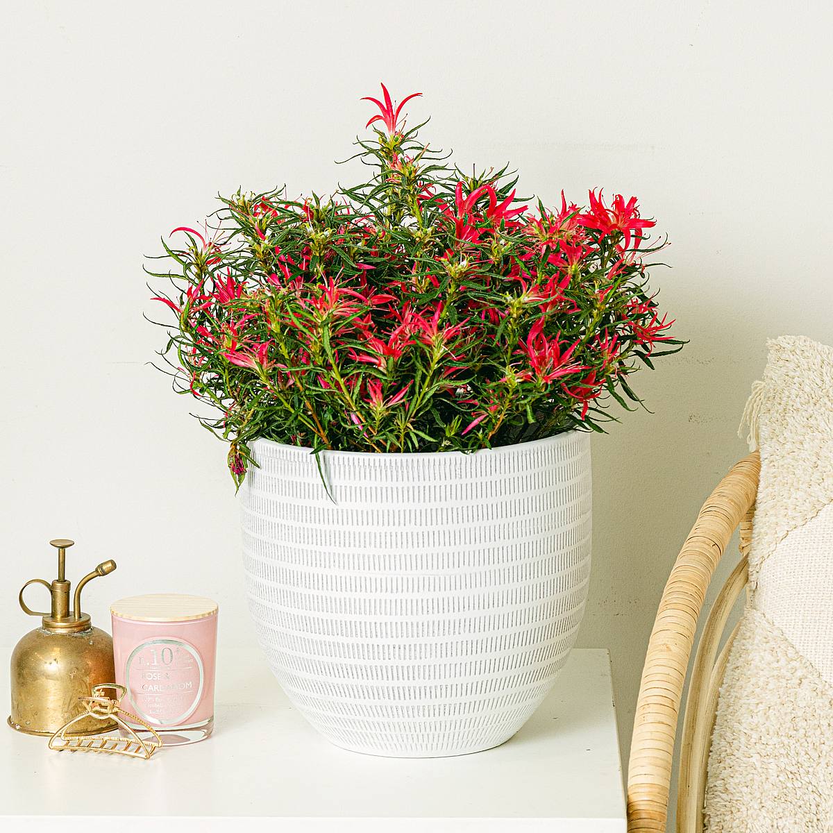 Doniczka Oslo - XL/23cm picture 2