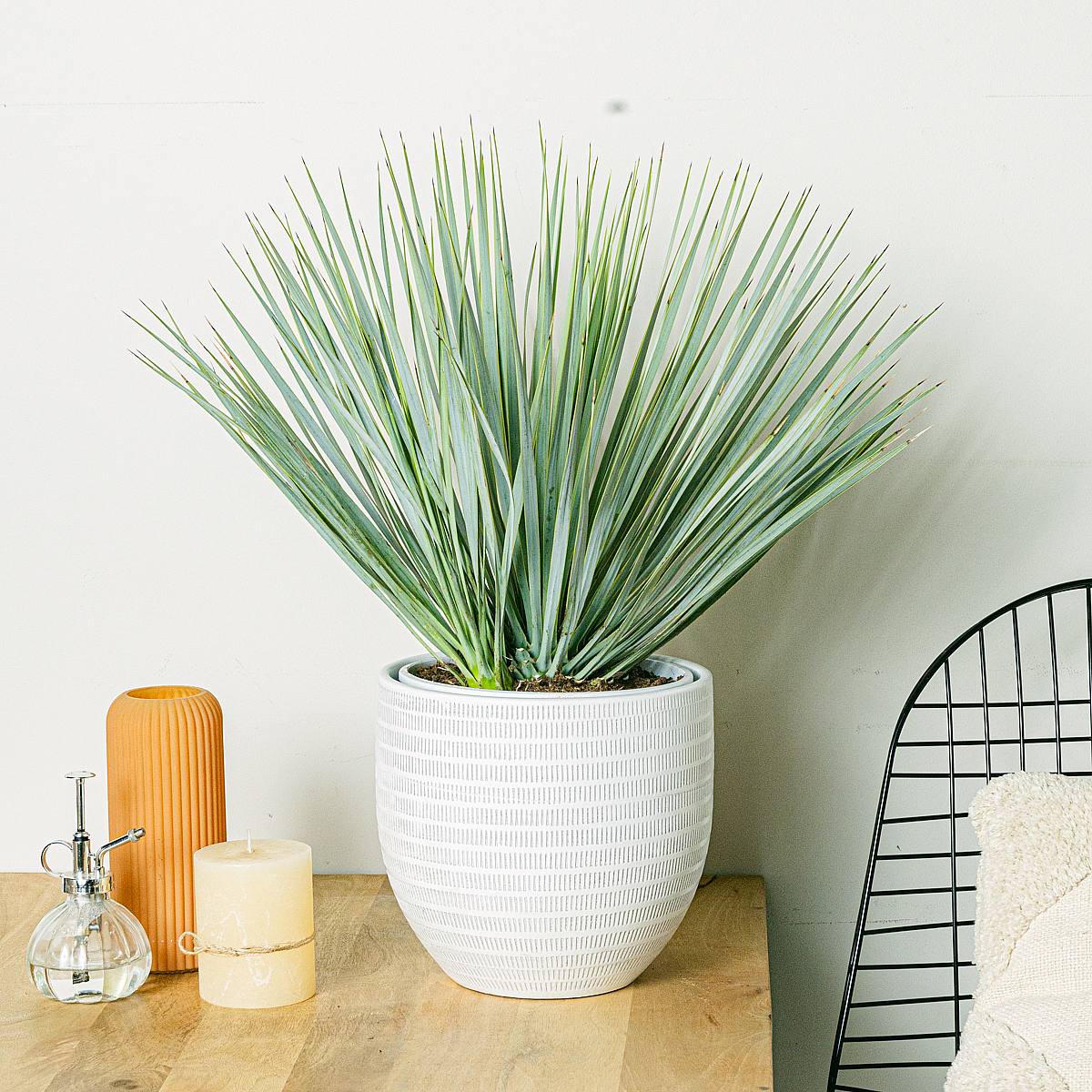 Doniczka Oslo - XL/23cm picture 3