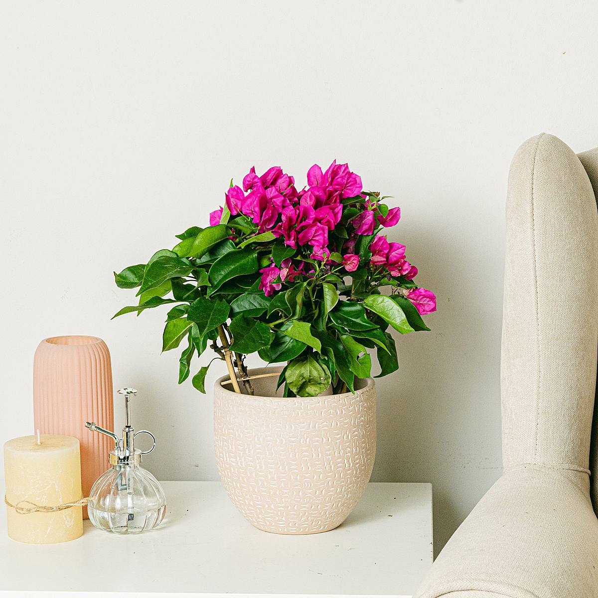 Cache-pot Sydney - M/17cm picture 3