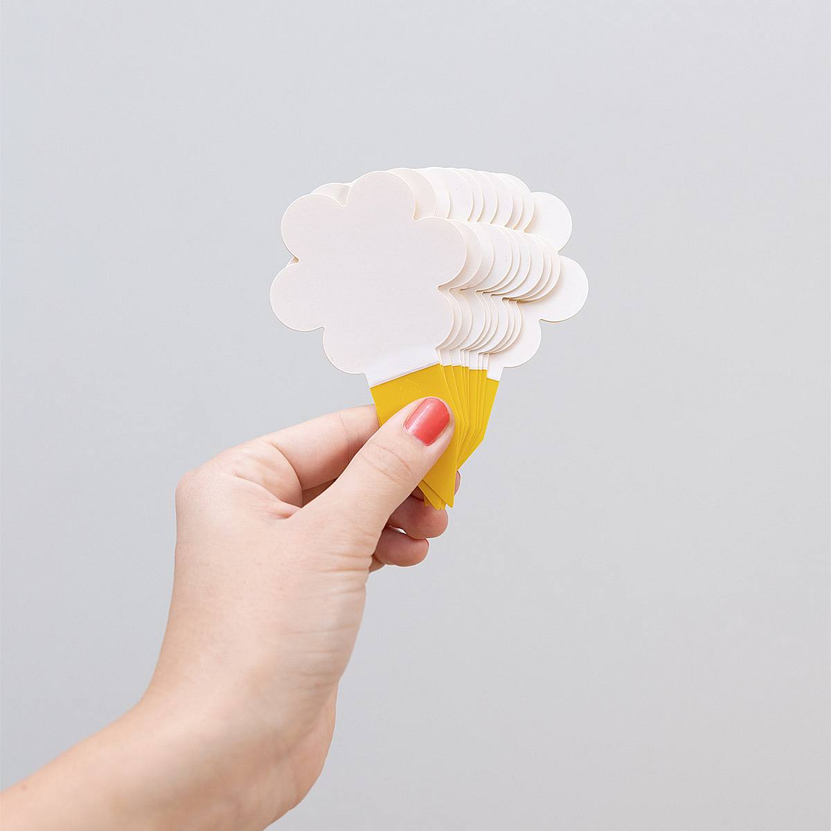 Mourning Fly Catcher Yellow picture 2