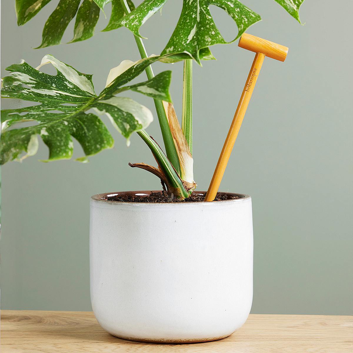 Soil Checker picture 0