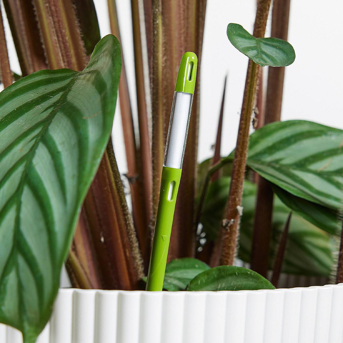 Vodoměr Tessa L zelený picture 1