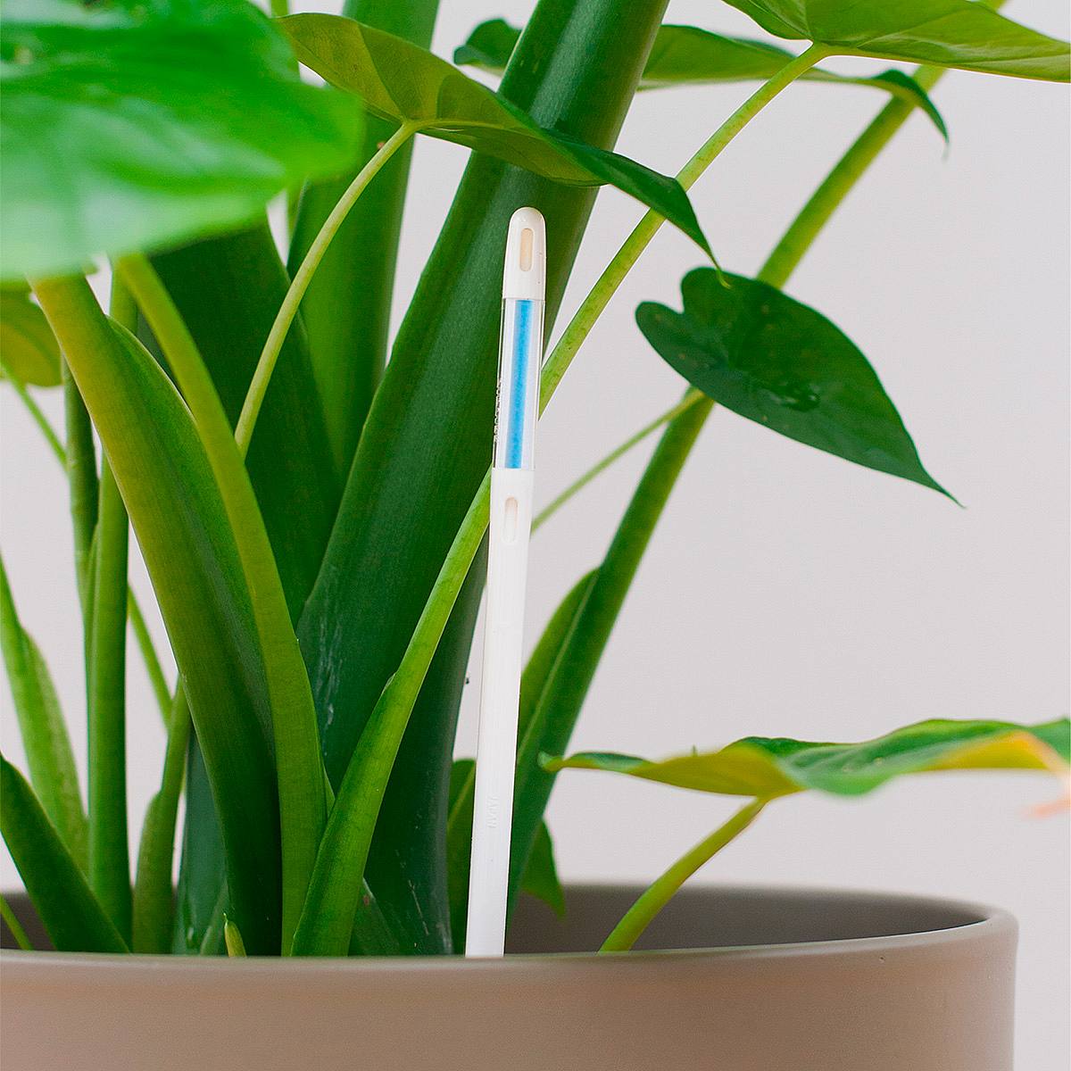 Водомер Тесса L белый picture 1