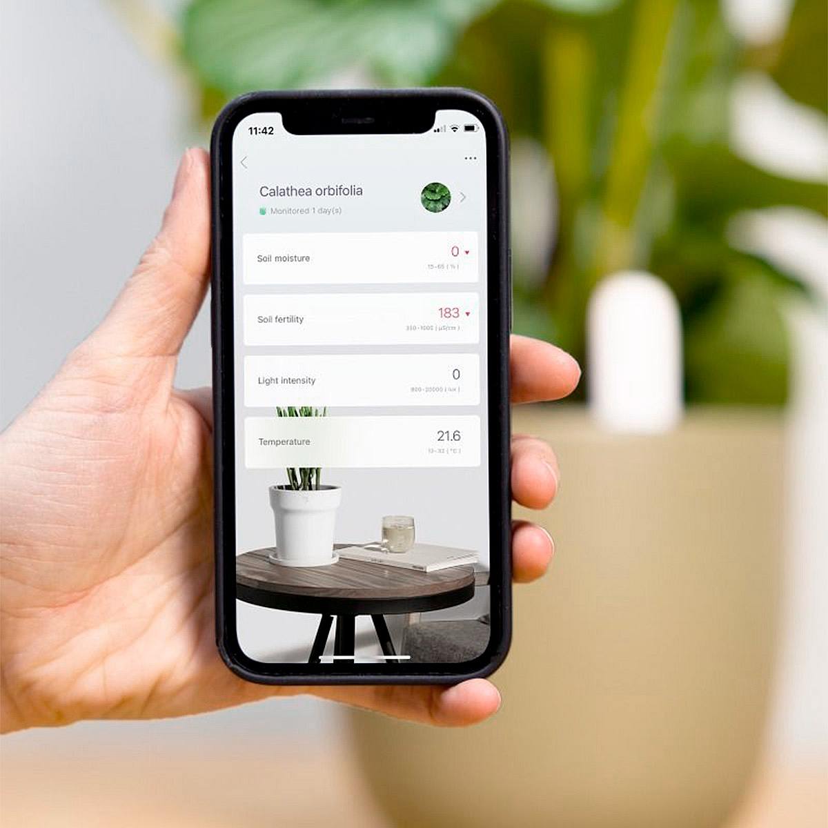 Sensore di impianto Naomi picture 2