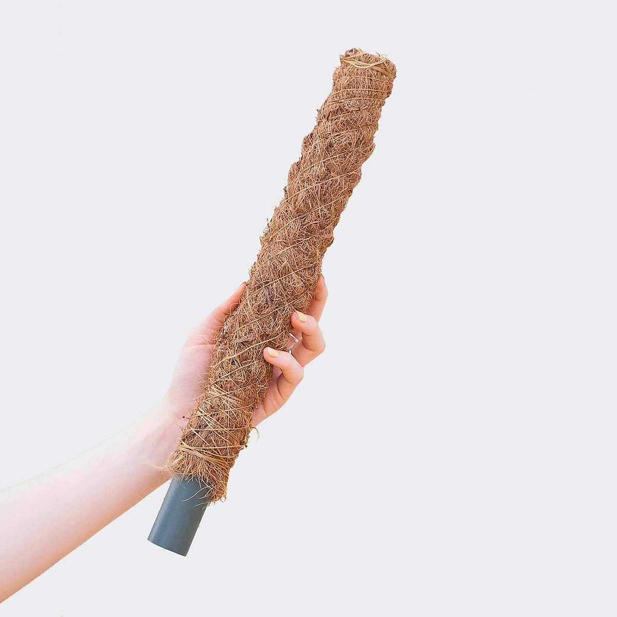 Perche à mousse 30cm picture 0