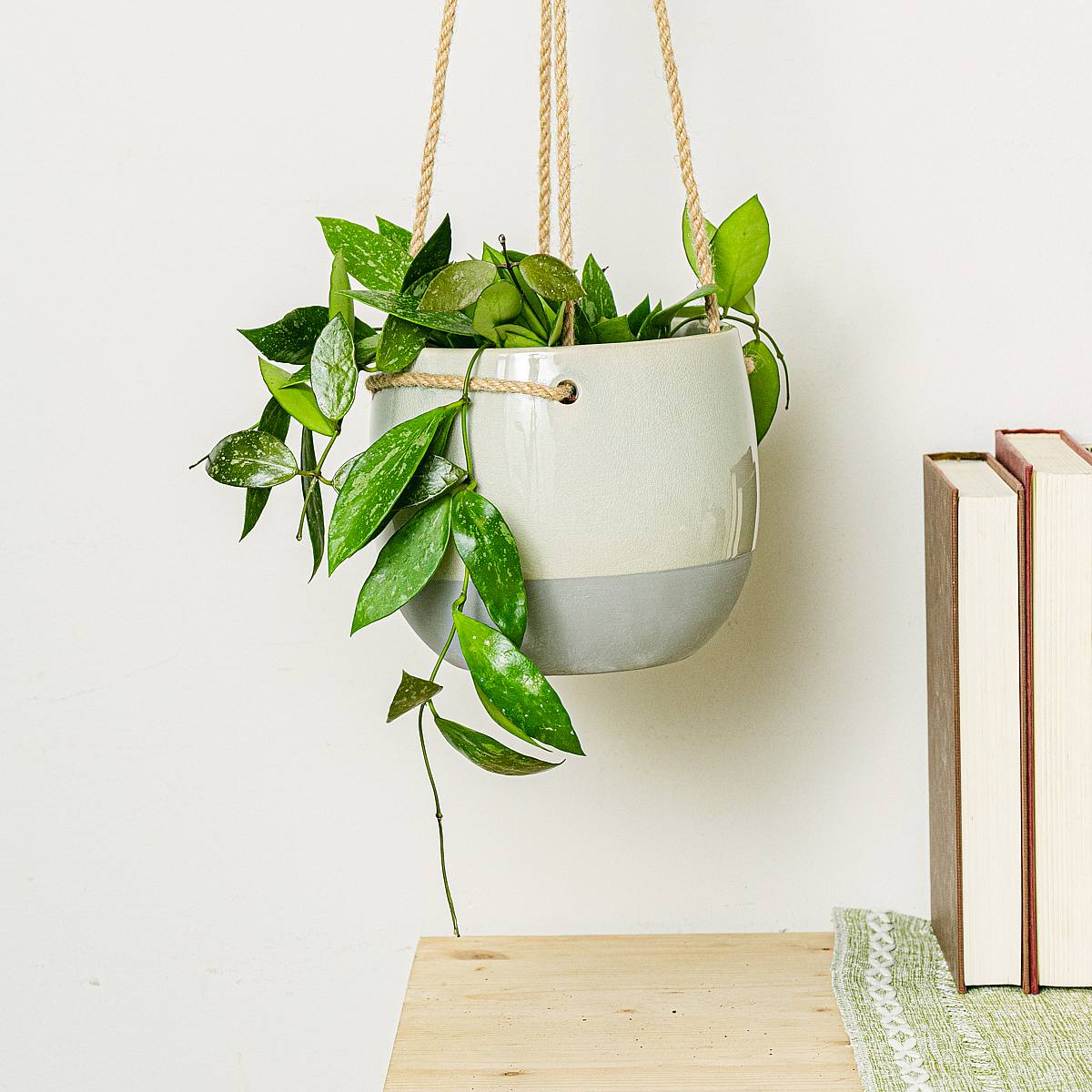 Dundee Bloembak - S/14cm picture 3