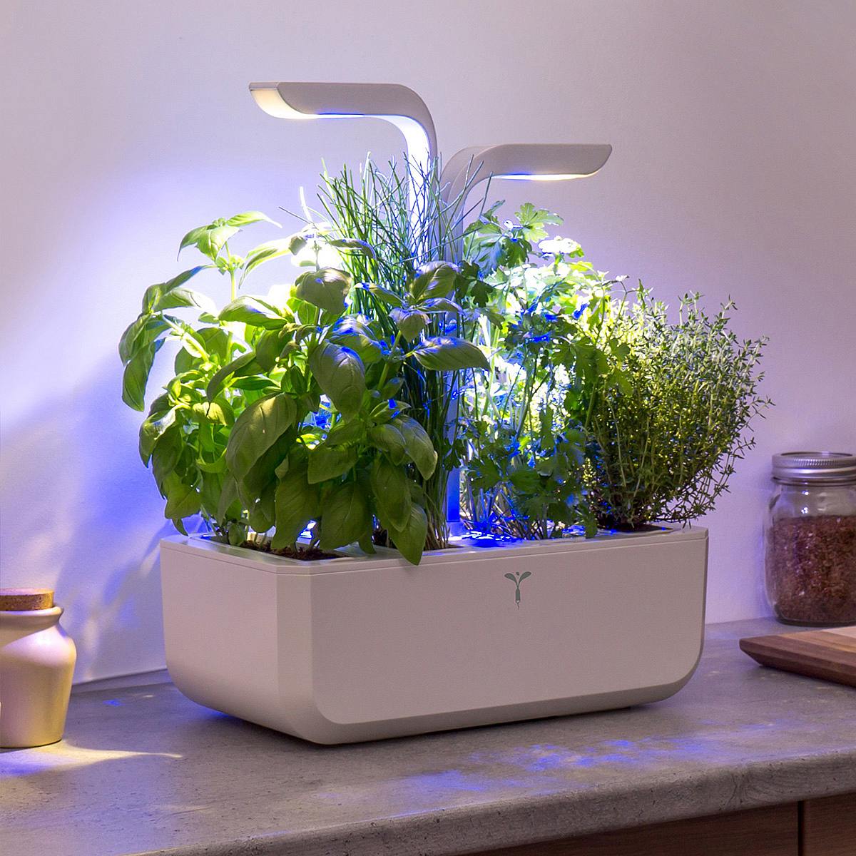 Véritable Classic picture 1