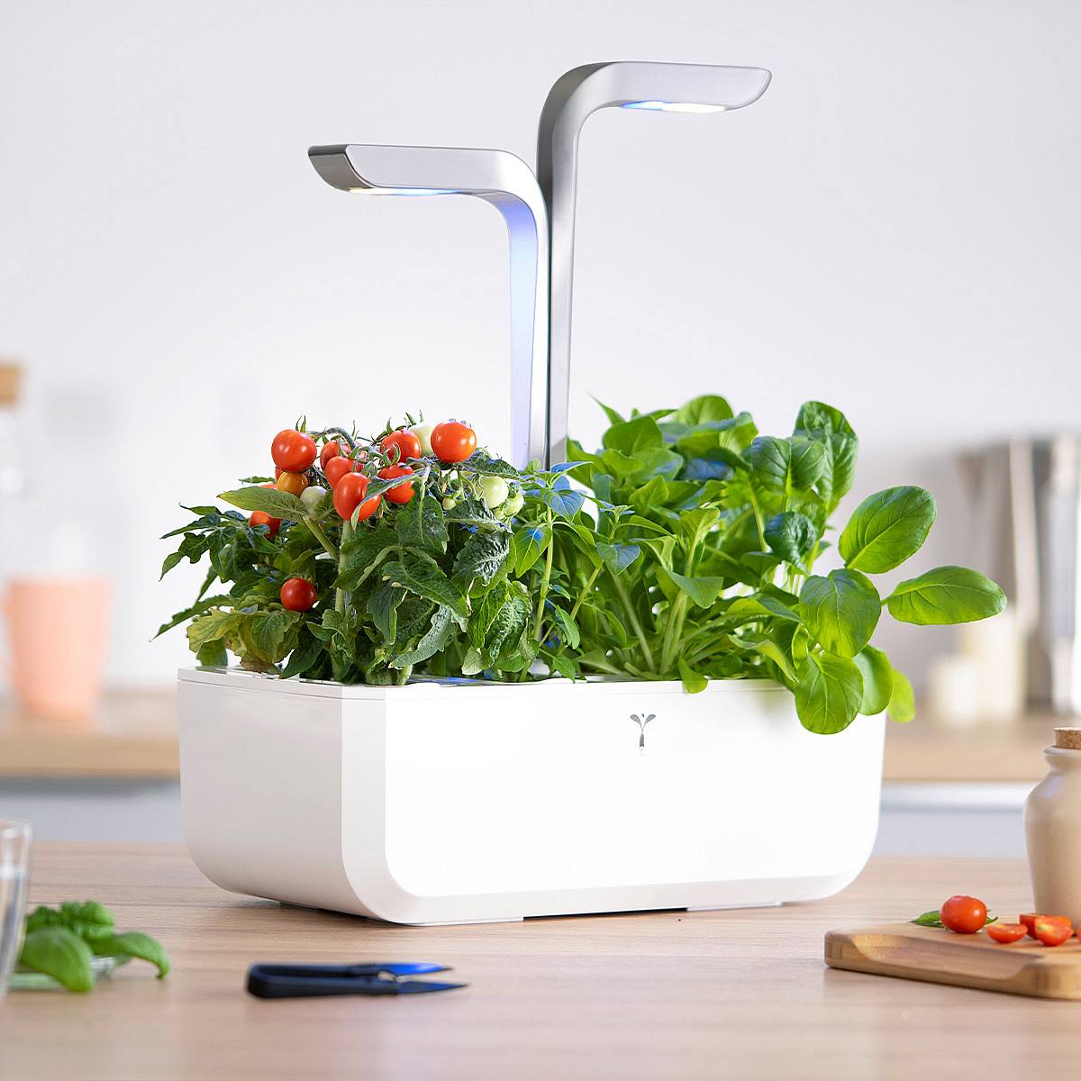 Veritable Smart picture 1