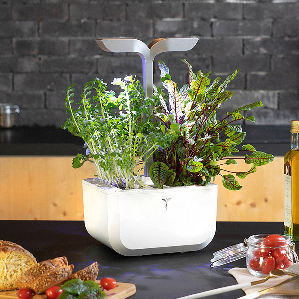 Exky Smart picture 1