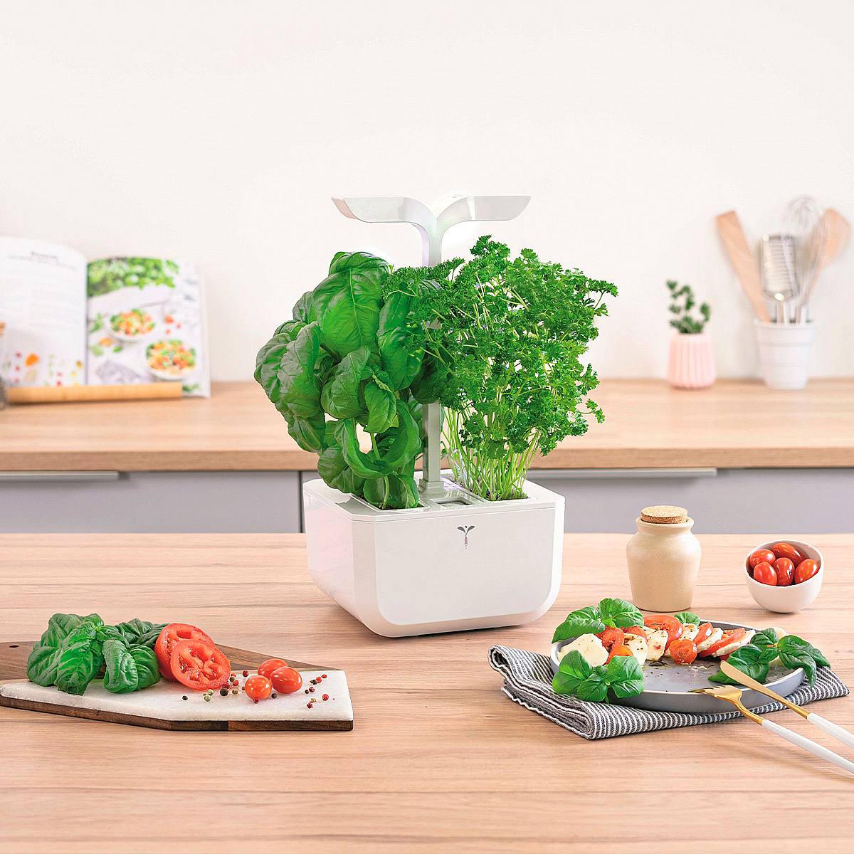 Exky Smart picture 2