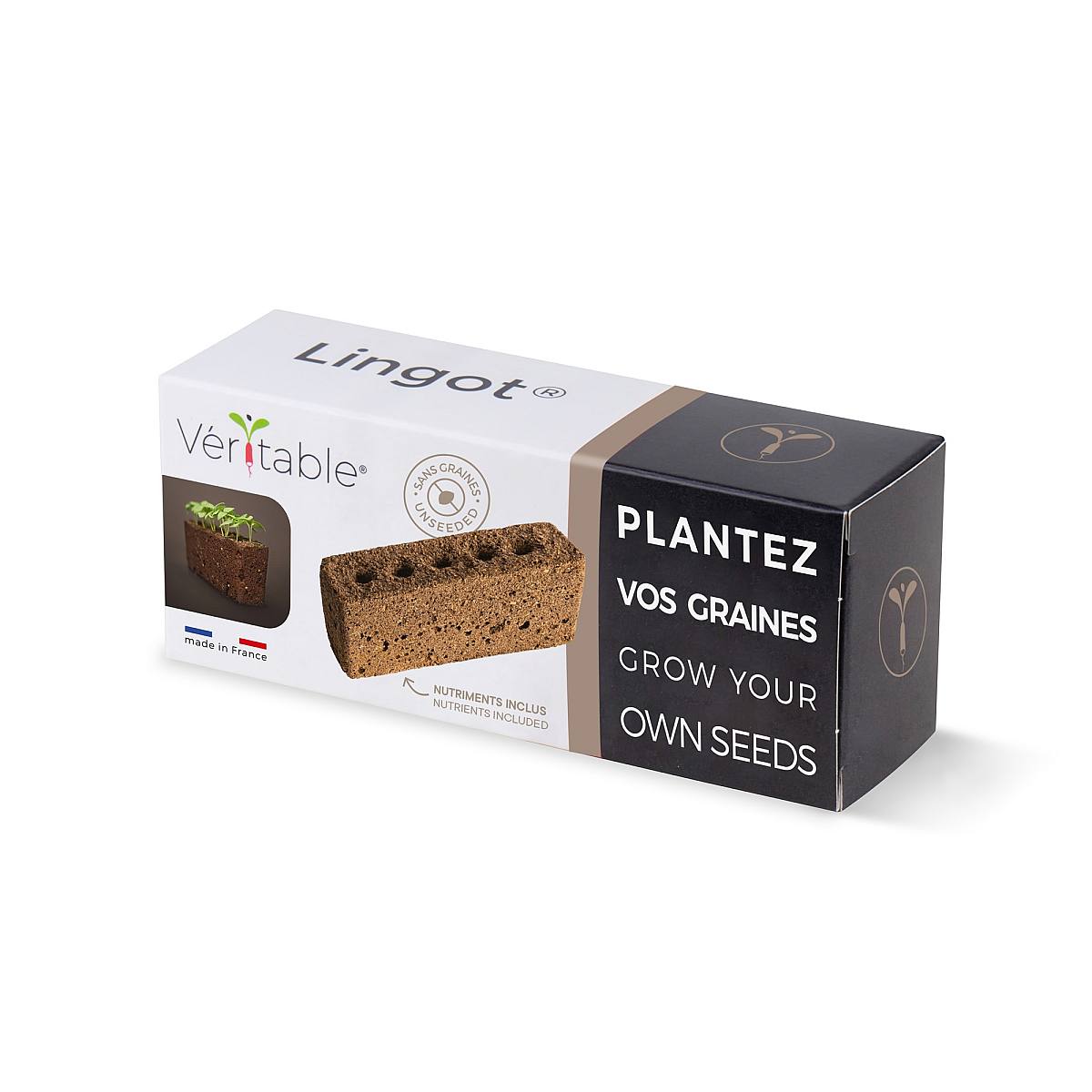 Lingot Seedless picture 0