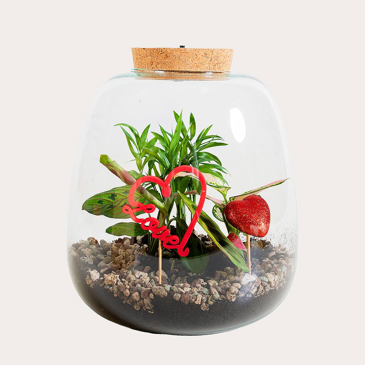 Amorkova oáza - Valentýnský den picture 0